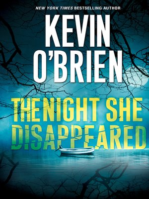 cover image of The Night She Disappeared